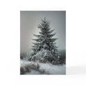 Majestic Winter cards