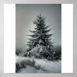 Majestic Winter posters
