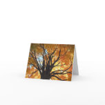 Majesty Note Card