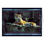 Majesty of the Tiger cards