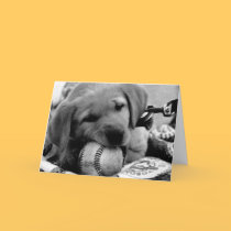 Major League Puppy - Greeting & Note Cards cards