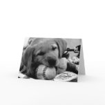 Major League Puppy - Greeting & Note Cards