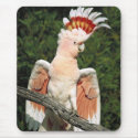 Major Mitchell Cockatoo mousepads