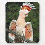 Major Mitchell Cockatoo mousepads