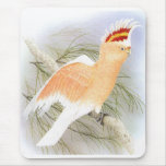 Major Mitchell's Cockatoo - Cacatua leadbeater mousepads