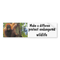 Make a Difference with Animal Charity