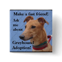 Make a fast friend!