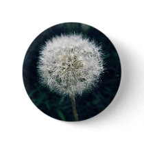 Make a Wish Button