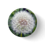 Make A Wish Button
