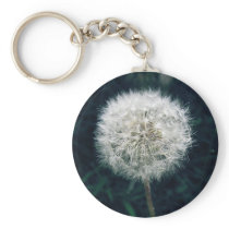 Make a Wish Key Chains