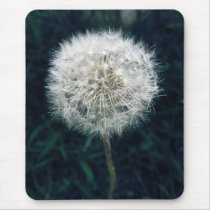 Make a Wish Mouse Pad