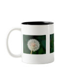 Make a Wish Mug