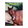 Make me smile Horse Postcard