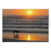 Make the Most of Your Day Greeting Cards