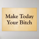 Make today your bitch poster