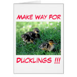 Make Way For Ducklings!!! cards