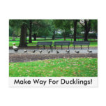 Make Way For Ducklings! postcards