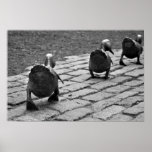 Make Way for Ducklings Posters