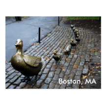 Make Way For The Ducklings Postcard