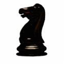 Make your own chess set Black Knight photo sculptures
