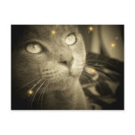 Making a Wish postcards
