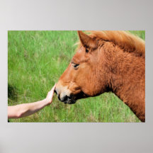 Making Friends Posters