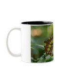 Malachite Butterfly Coffee Cup Coffee Mug