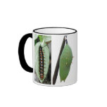 Malachite Butterfly Lifecycle Coffee Mug