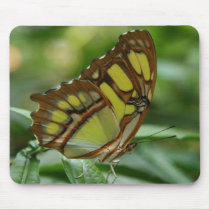 Malachite Butterfly Mouse Pad