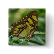 Malachite Butterfly Square Pin
