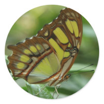 Malachite Butterfly Sticker
