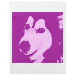 Malamute Dog