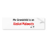 Malamute Grandchild Bumper Sticker