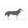 Malamute Custom Photo Card