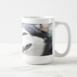 Malamutte pet dog mug taza de café
