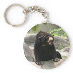 Malaya sun bear keychains