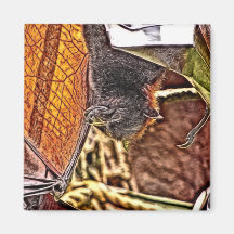 Malayan Flying Fox Giant Bat Painting Fridge Magnets