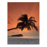 Maldives, Meemu Atoll, Medhufushi Island, Postcard