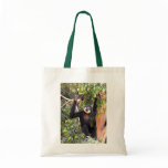 Male Buff cheeked gibbon bags
