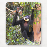 Male Buff cheeked gibbon mousepads