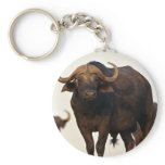 Male buffalo keychain