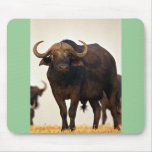 Male buffalo mouse pads