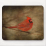 Male Cardinal Mousepad