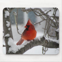 Male Cardinal Mousepads