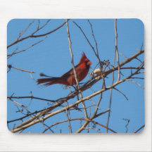Male Cardinal, Sideview Mouse Mat