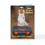 Male/Dad Funny Birthday cards