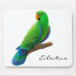 Male Eclectus Mousepad