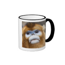 Male Golden Monkey Pygathrix roxellana, portrait Mugs