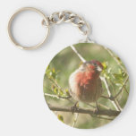 Male House Sparrow Keychain