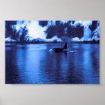 Male Killer Whale posters
